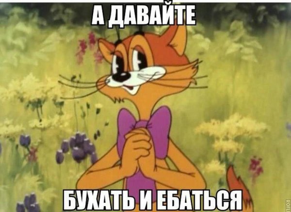 леопольд кот