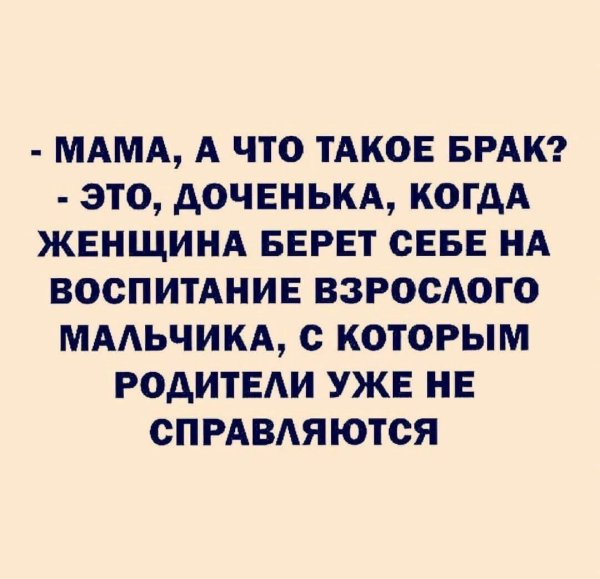 веселые высказывания