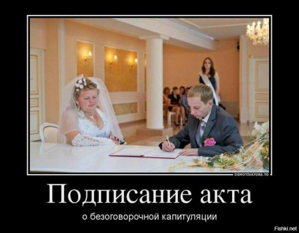 загс прикол