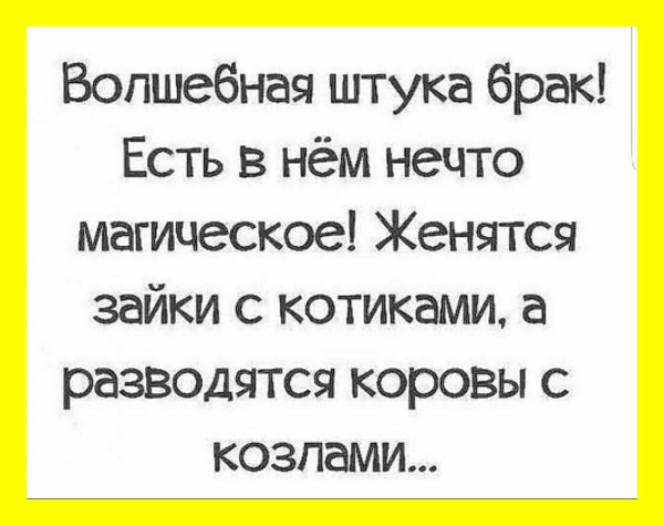 веселые высказывания