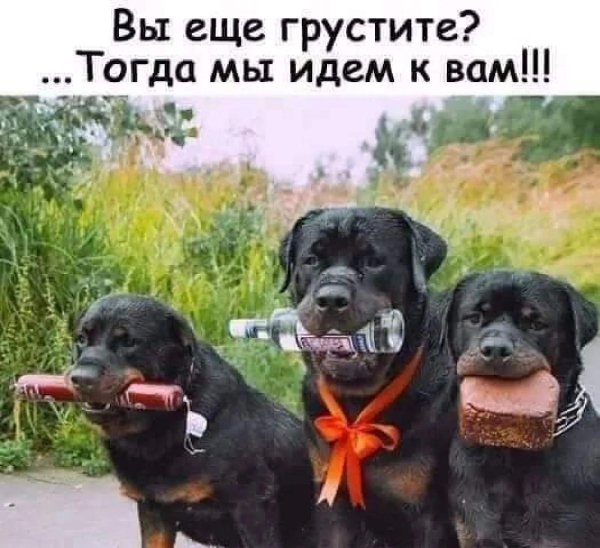 тогда мы идем к вам