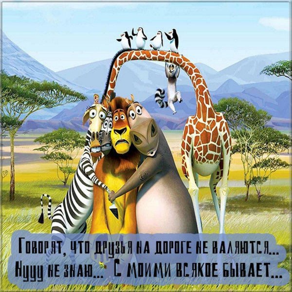 мадагаскар мультфильм