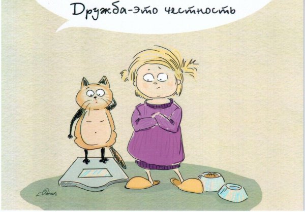 дружба смешно