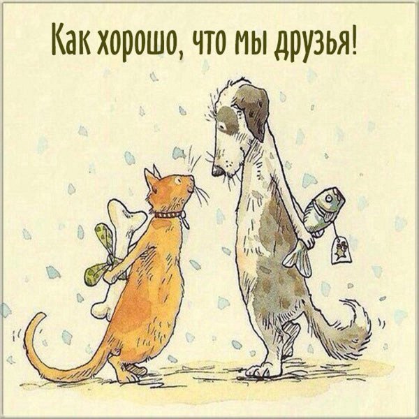 анита джерам иллюстрации