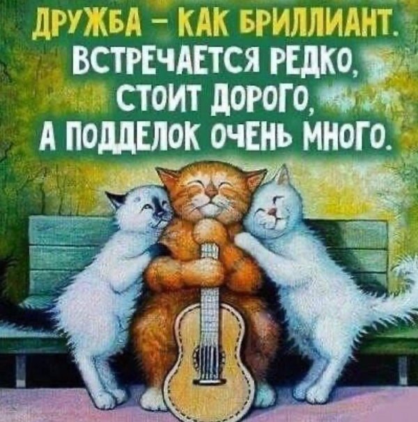 Друзья
