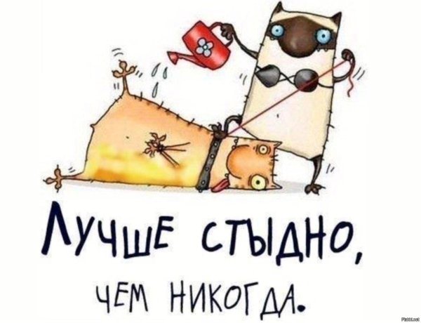 мария ван брюгген коты