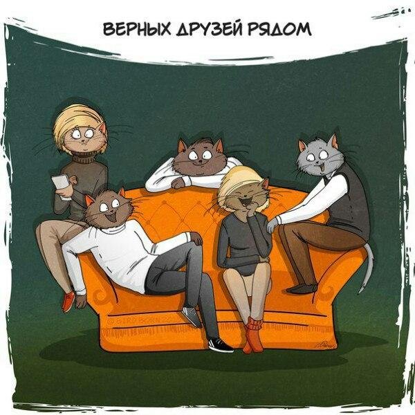 шутки про домашний уют