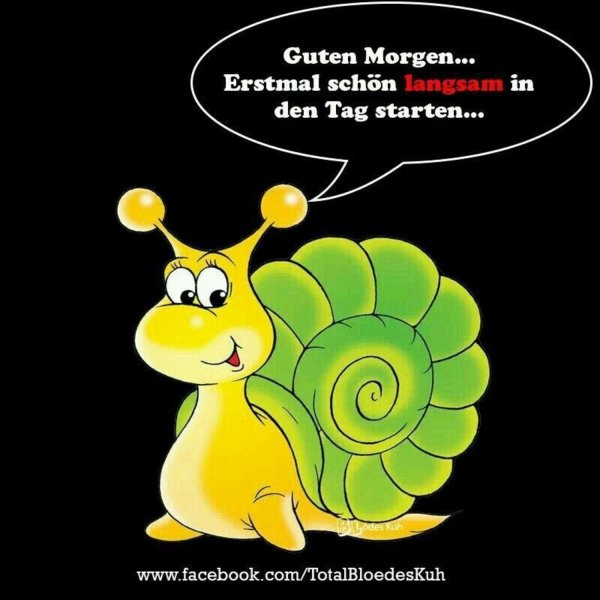 мультяшные улитки