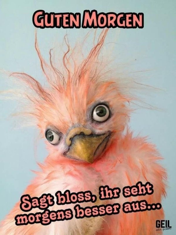 guten morgen montag