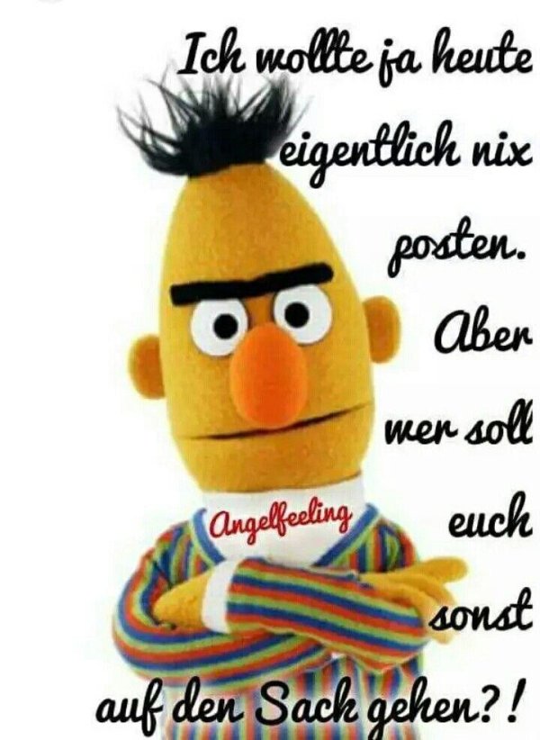 улица сезам берт