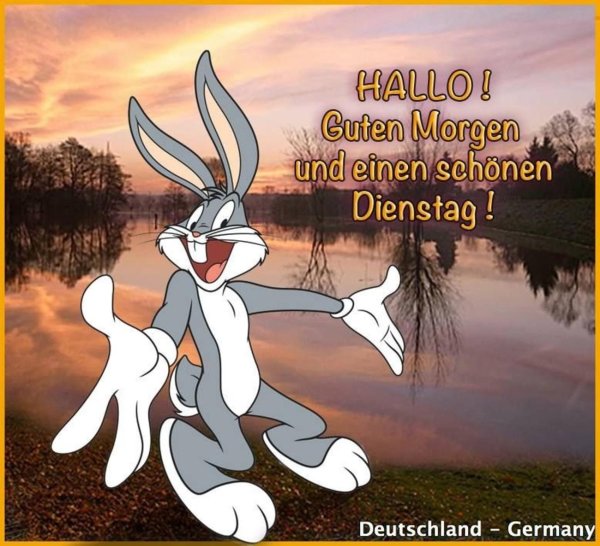 guten morgen dienstag