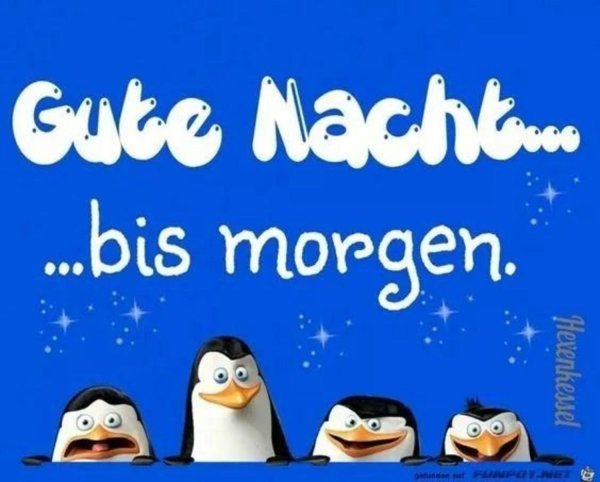 gute nacht bilder