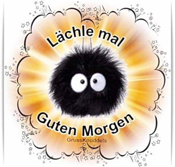 сусуватари миядзаки