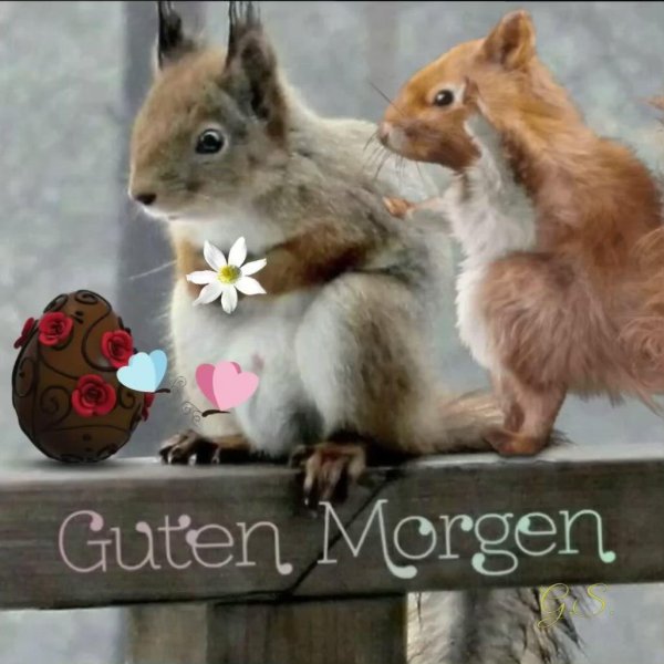 guten morgen montag