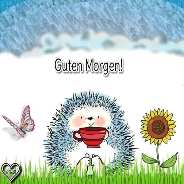 lustige guten morgen sprüche