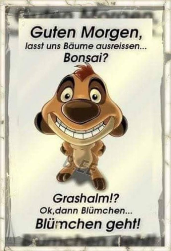 guten morgen картинки прикольные смешные