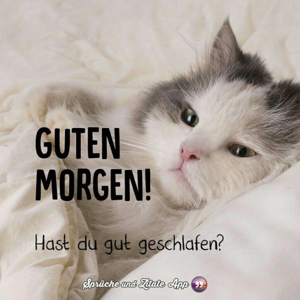 schönen guten morgen