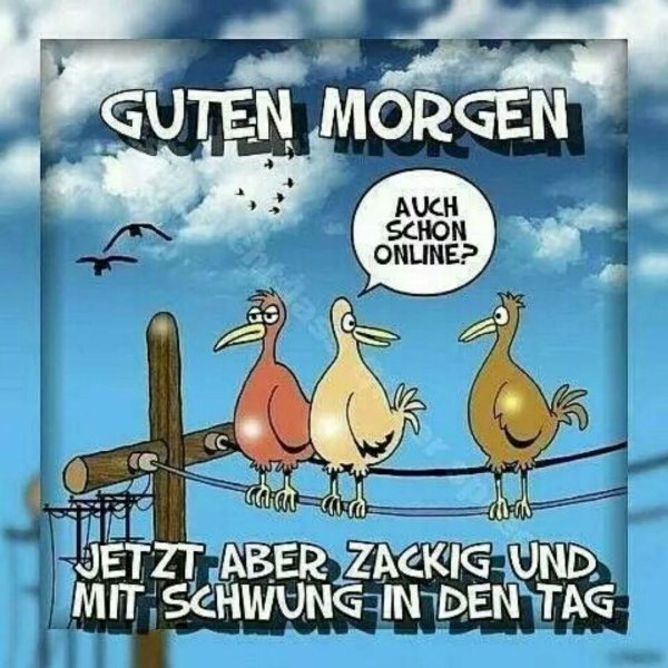 guten morgen sonntag