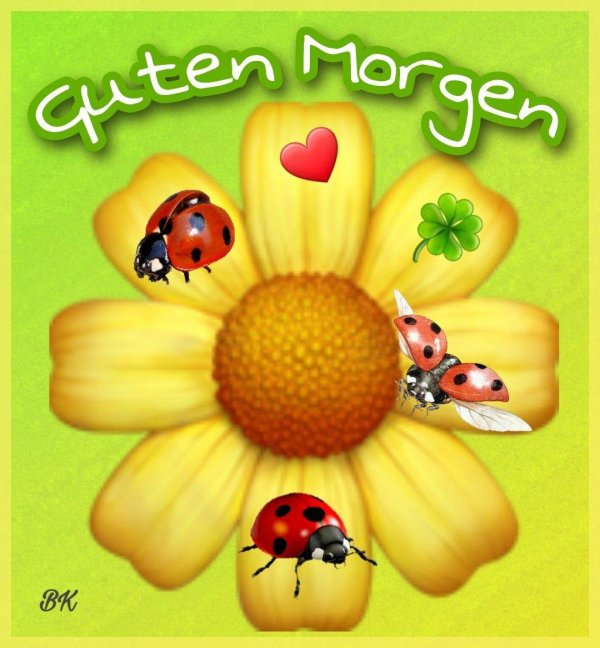 schönen guten morgen