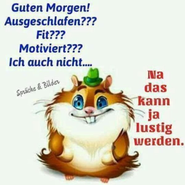 гутен морген