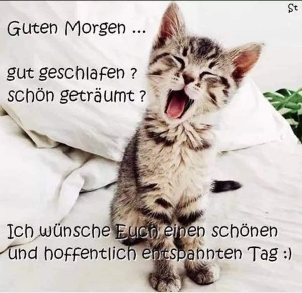 guten morgen montag