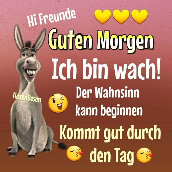 guten morgen sonnenschein