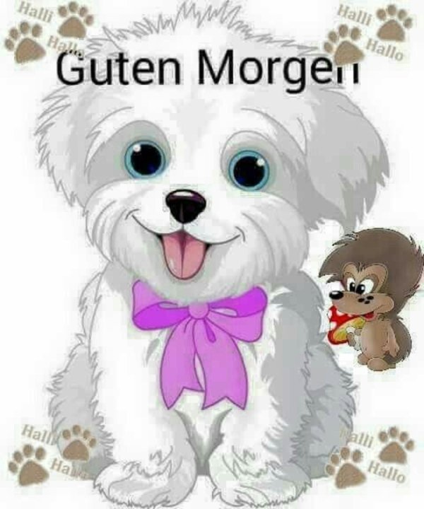 guten morgen mittwoch
