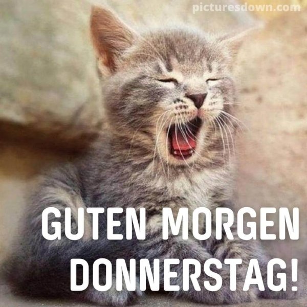 guten morgen donnerstag
