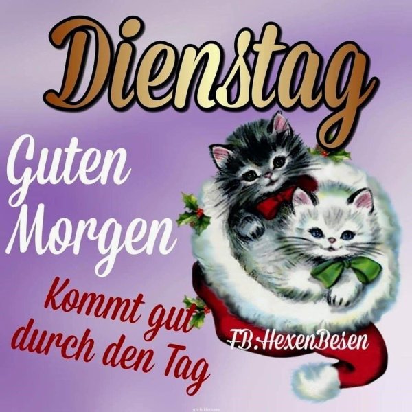 guten morgen dienstag