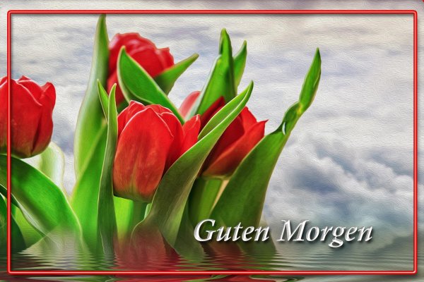 good morning in german