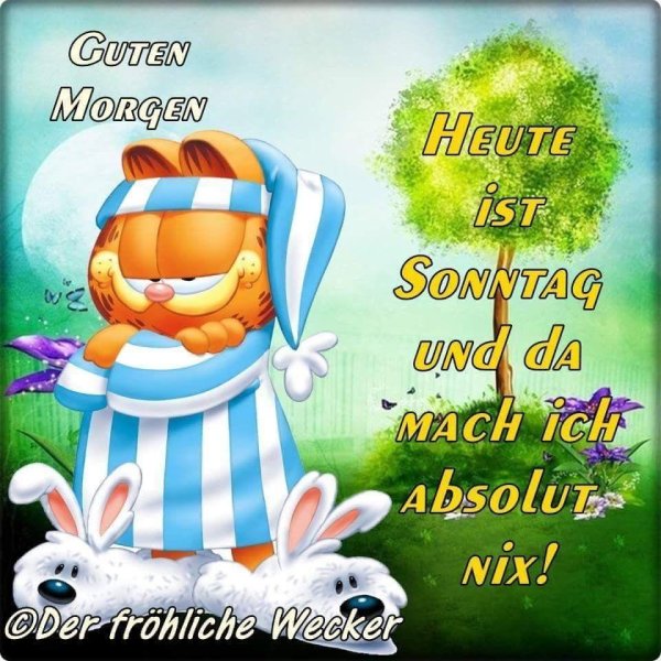 гутен морген