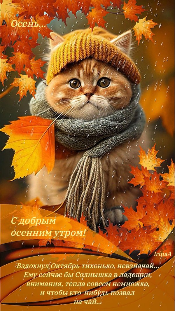 Бодрого утра