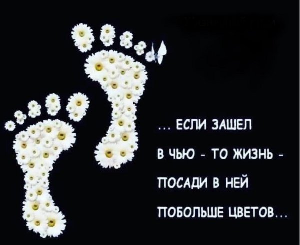 следы из цветов