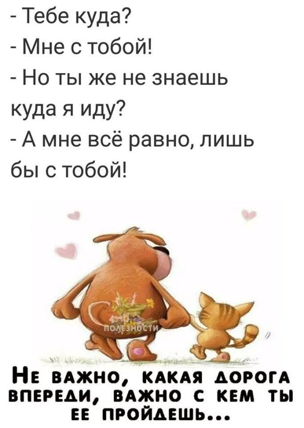 ты куда