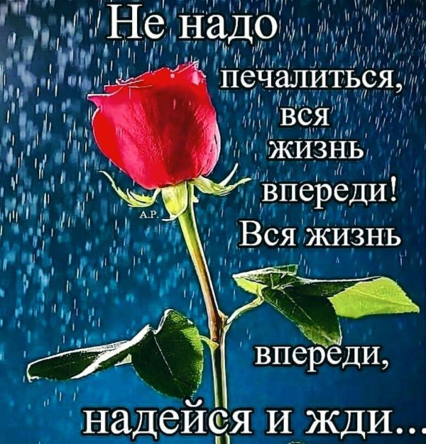 вся жизнь впереди