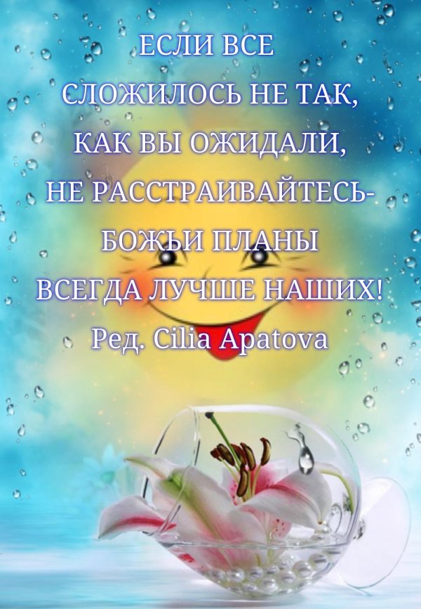 лилия анастасия отгибрид