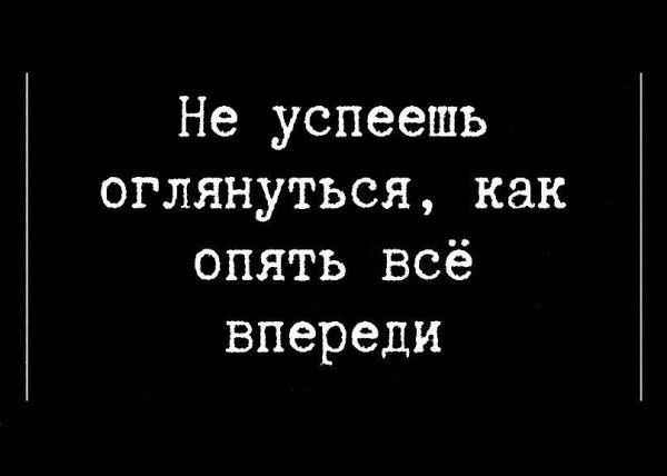 мудрая цитата