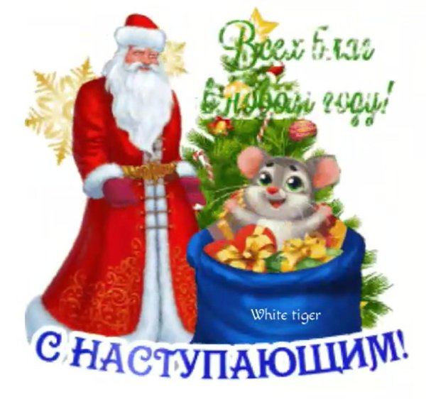 с наступающим