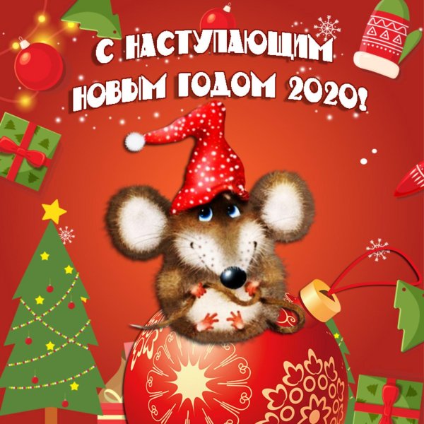 новый 2020 год