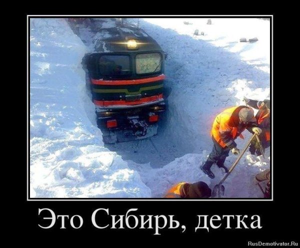 приколы про зиму