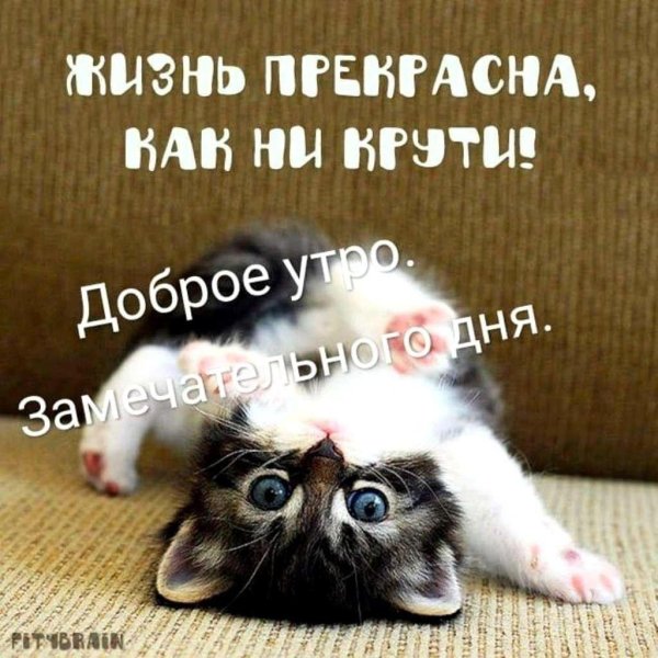 Живые есть
