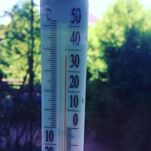 50 градусов жары