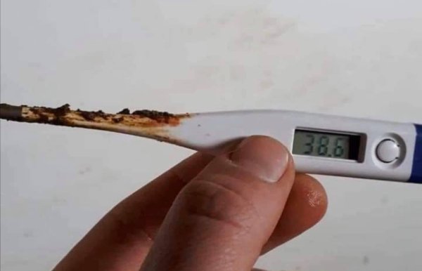 ректальный термометр