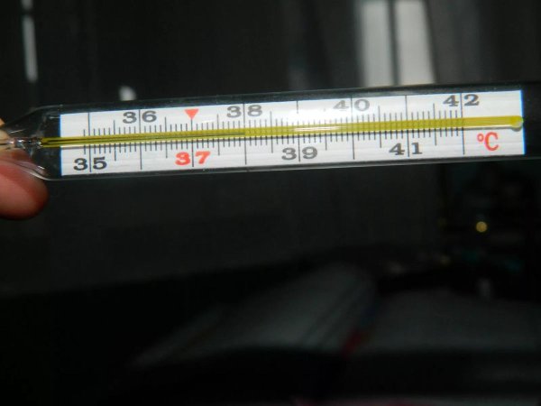 градусник ртутный 395