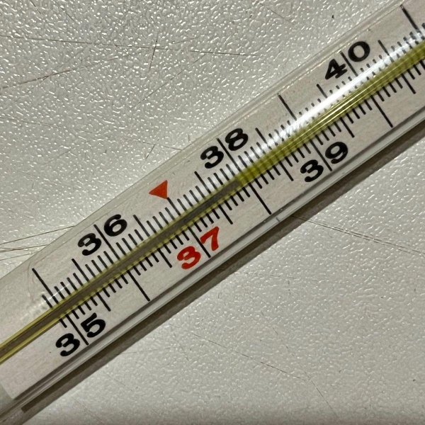 градусники с температурой