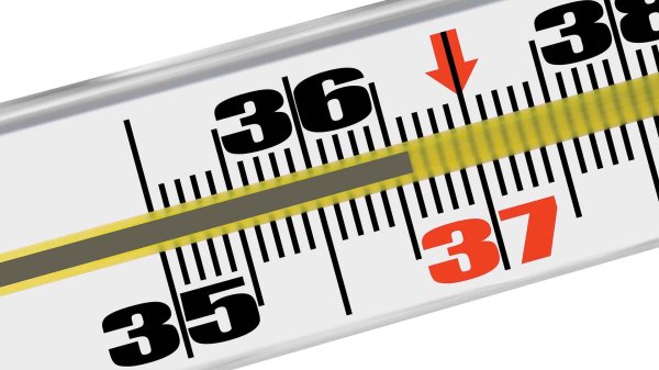 градусник 36 6