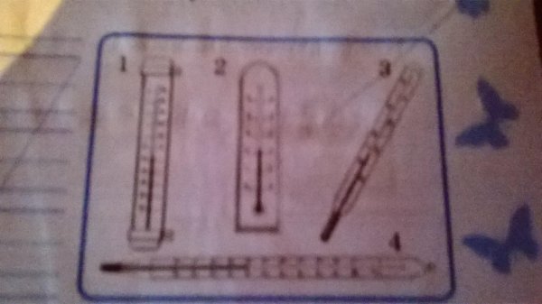 определить цену деления термометра