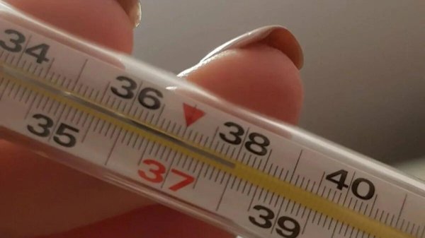 градусники с температурой