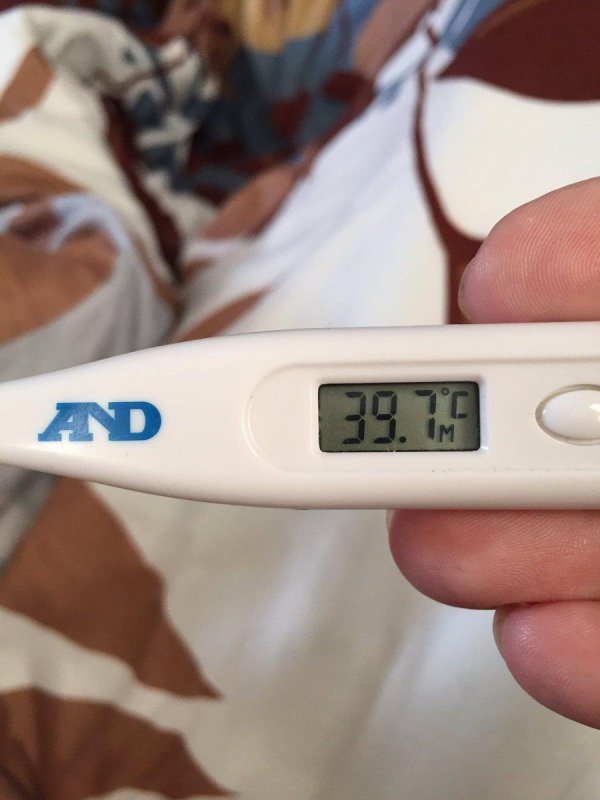 электронный градусник 379 omron