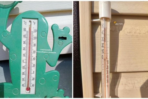 термометр  лягушка